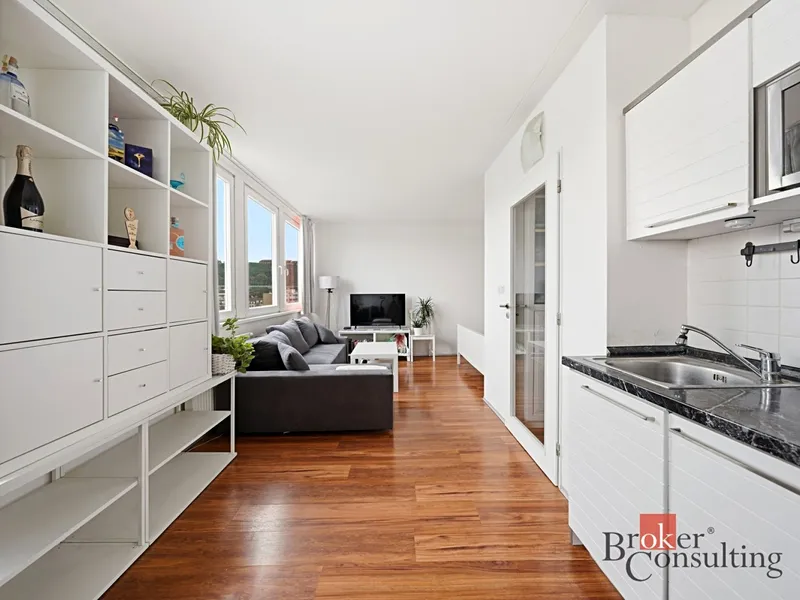 Prodej, byty/1+kk, 30 m2, Molákova 577/34, Karlín, 18600 Pra